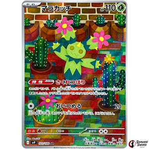 Maractus