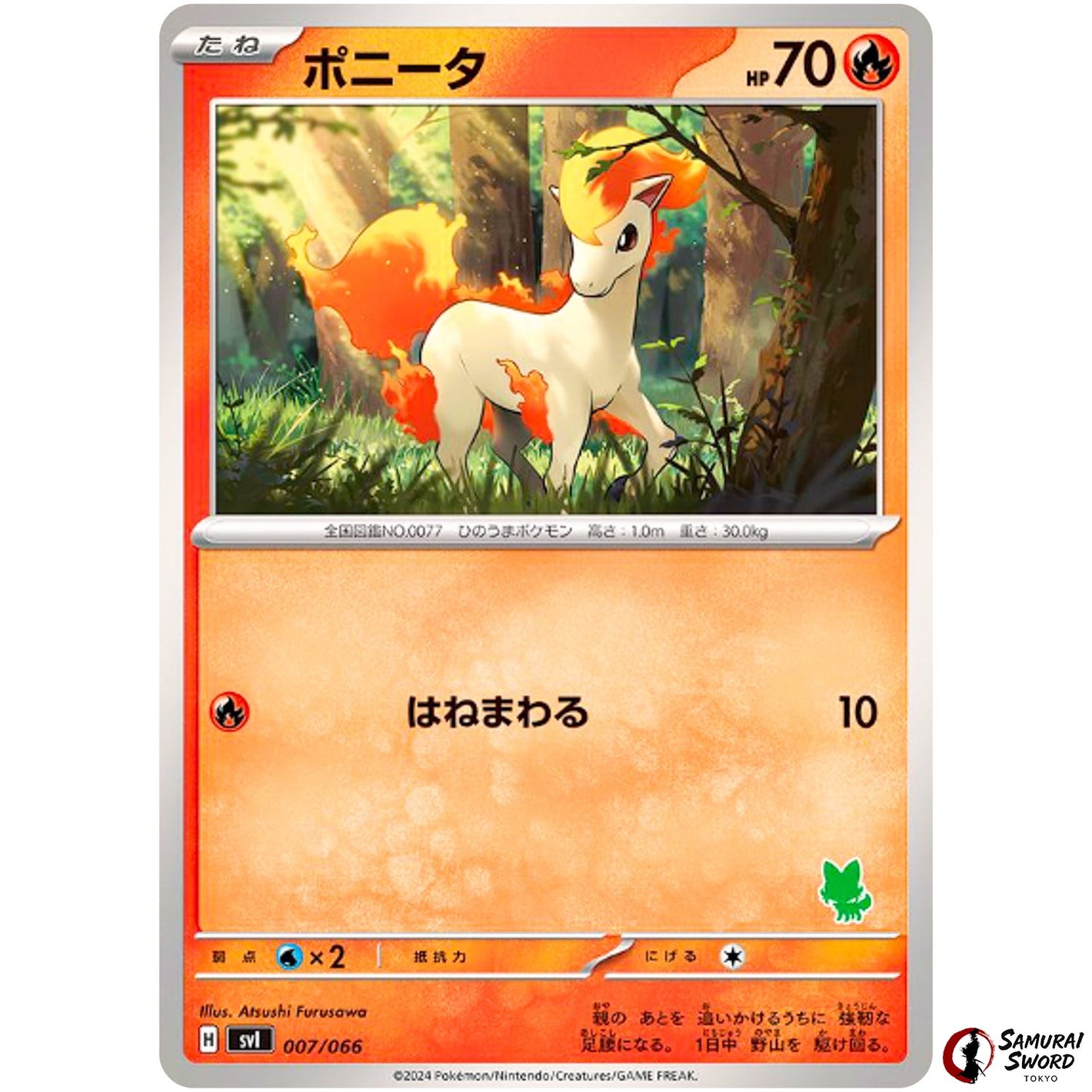 Ponyta