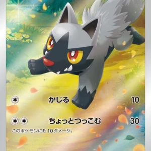 PSA10 Poochyena 208/172 AR