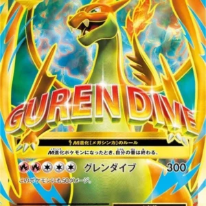 PSA10 M Charizard EX SR 091/087 SR