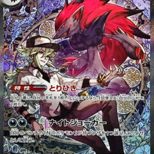 PSA10 N's Zoroark ex 242/193 SAR
