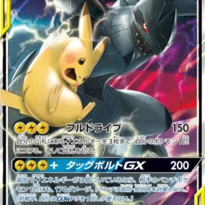 PSA10 Pikachu & Zekrom GX 031/095 RR