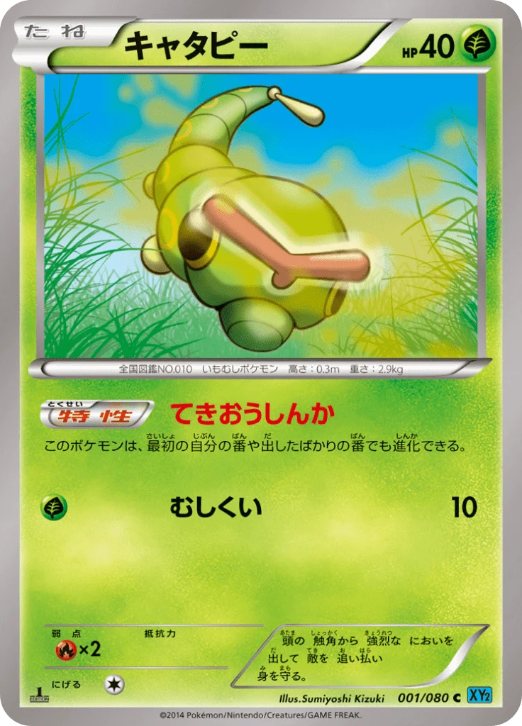 Japanese Pokemon Card Back: Old vs New Back Explained