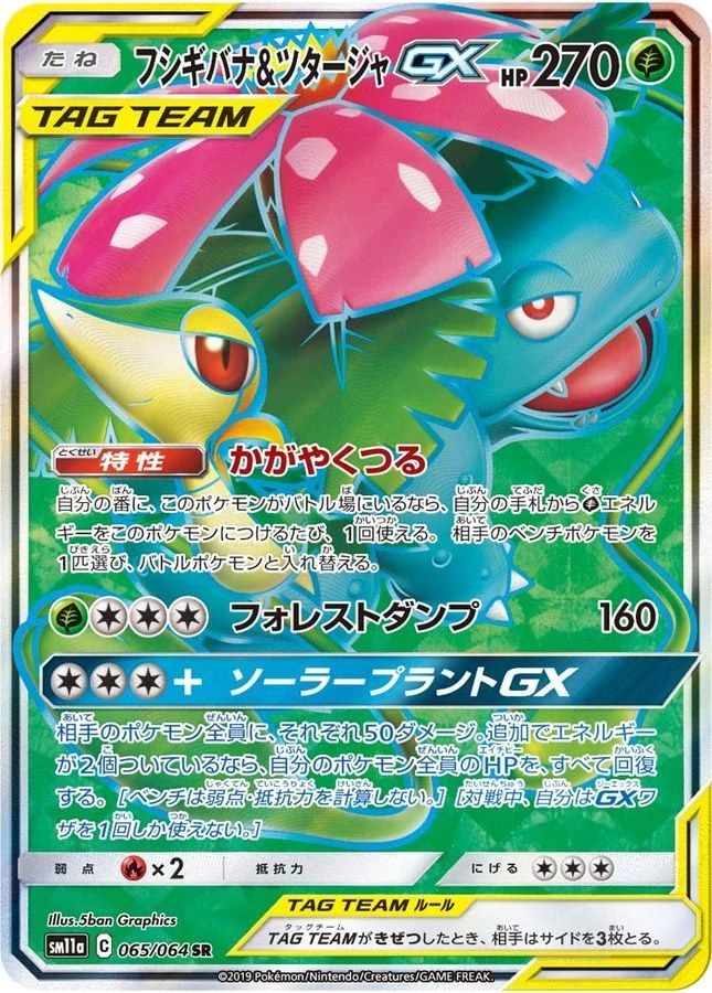 PSA10 Venusaur & Snivy GX SR[SM11a 065/064](Enhanced Expansion