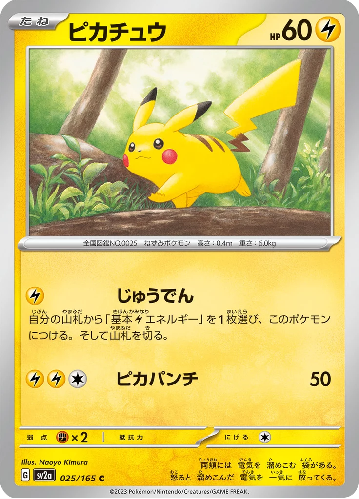 PSA10 Japanese Pokémon Cards ¥100K–¥500K: 57 Picks