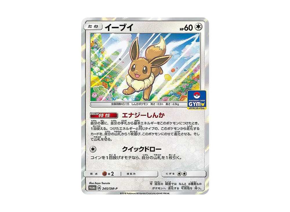 PSA 10 Eevee 245/SM-P GX Start Battle promo card slab, listed on samuraiswordtokyo.com