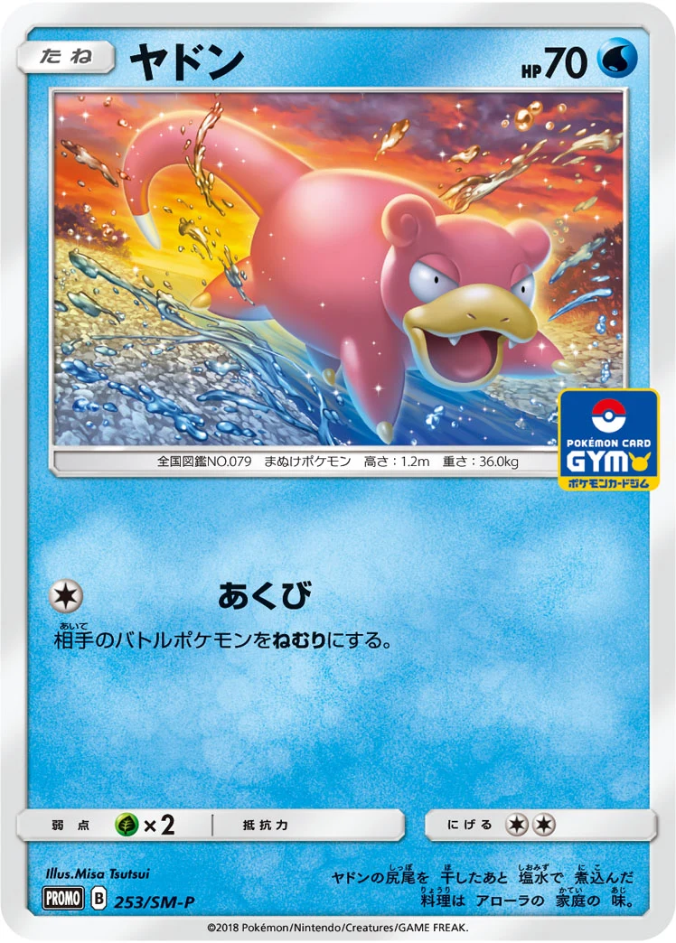 Slowpoke SMP 253/SM-P