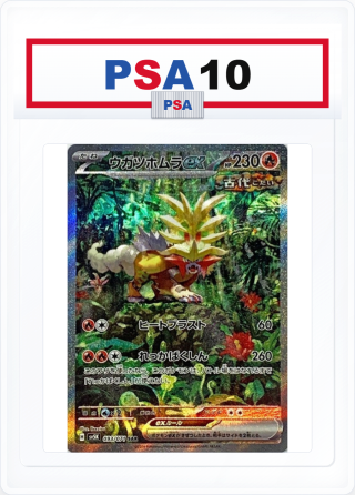 PSA10 Gouging Fire ex 093/071 SAR