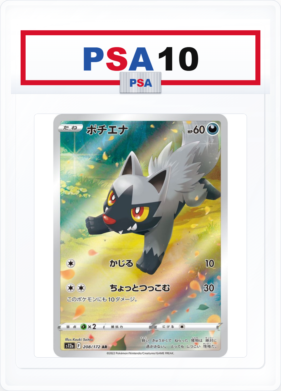 PSA10 Poochyena 208/172 AR
