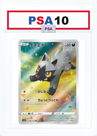 PSA10 Poochyena 208/172 AR