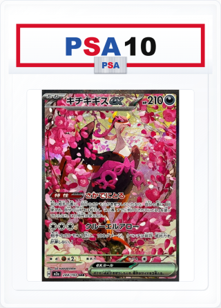 PSA10 Squawkabilly ex 244/193 SAR
