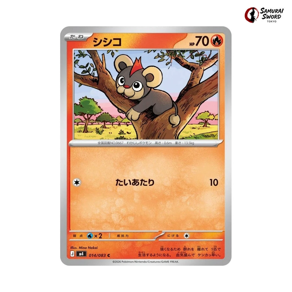 pokemon tcg card guide Beginner's Guide to TCG Card Collecting: Pokmon & More