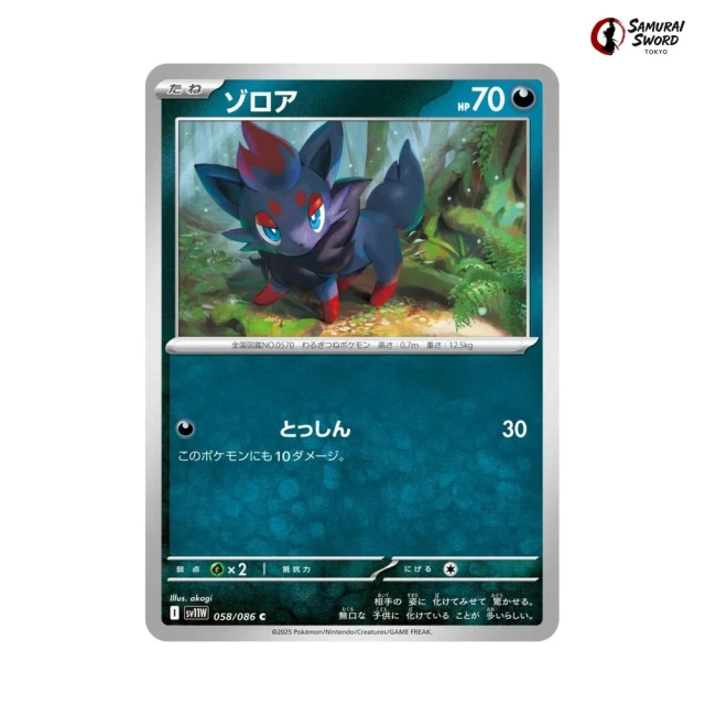 Zorua #58 - White Flare SV11W Pokemon Card Japanese