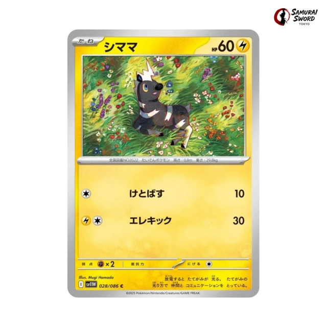 Blitzle #28 - White Flare SV11W Pokemon Card Japanese