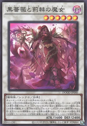 Rage Rose Witch DOOD-JP040 - Doom of Dimensions Yu-Gi-Oh Card Japanese
