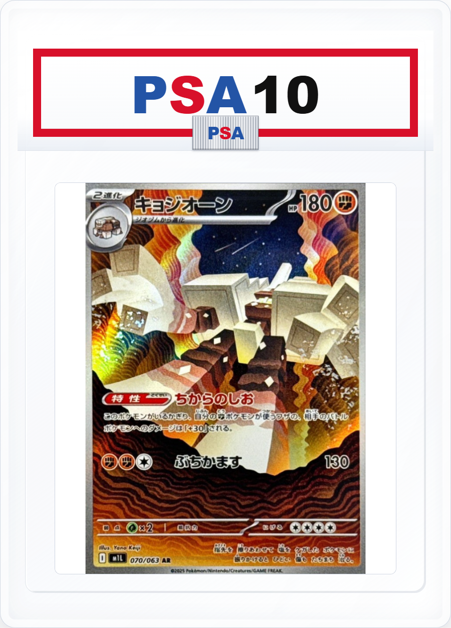 PSA10 Garganacl 070/063 AR