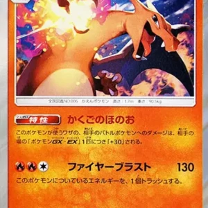 PSA10 Charizard R [SM6a 003/053](Enhanced Expansion Pack "Dragon Storm")