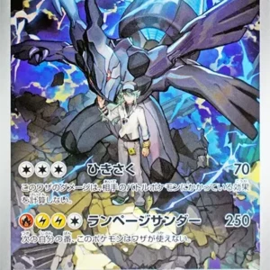 PSA10 N's Zekrom 210/193 AR