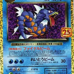 PSA10 Dark Gyarados 005/025 PROMO