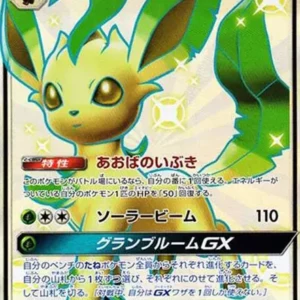 PSA10 Leafeon GX SSR 206/150