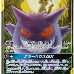 PSA10 Gengar & Mimikyu GX 038/095 RR