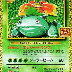 PSA10 Venusaur 002/025 PROMO