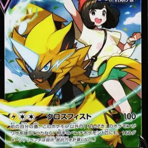 PSA10 Zeraora V 224/184 CSR