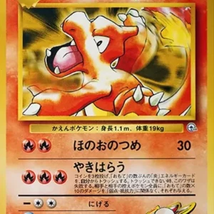 PSA10 Blaine's Charmeleon : Old Back [PMCG-G2 No.005](Gym Expansion Volume 2 "Challenge from the Darkness")